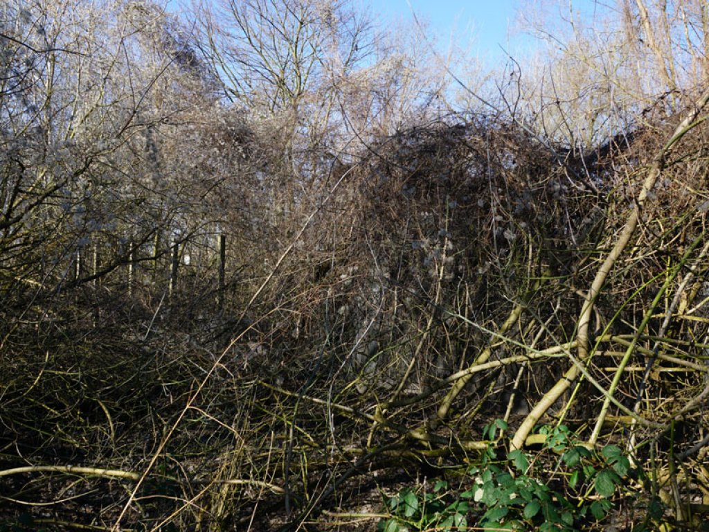 Einkokonierte Betonpfosten des vordersten Sperrzaunes der DDR-Grenzanlagen am Teltowkanal zwischen Teltow-Seehof und Berlin-Lichterfelde (1); Aufnahme 2015