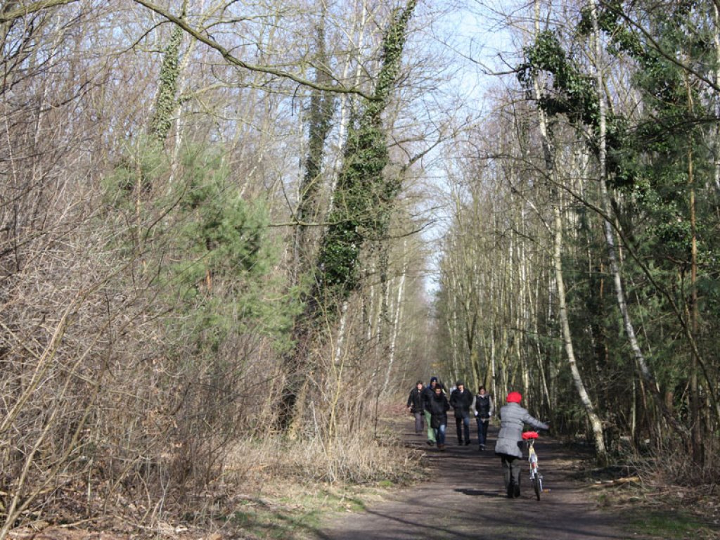 Naherholungsgebiet: Der Todesstreifen der DDR-Grenzanlagen an der Stammbahn in Kleinmachnow; Aufnahme 2015
