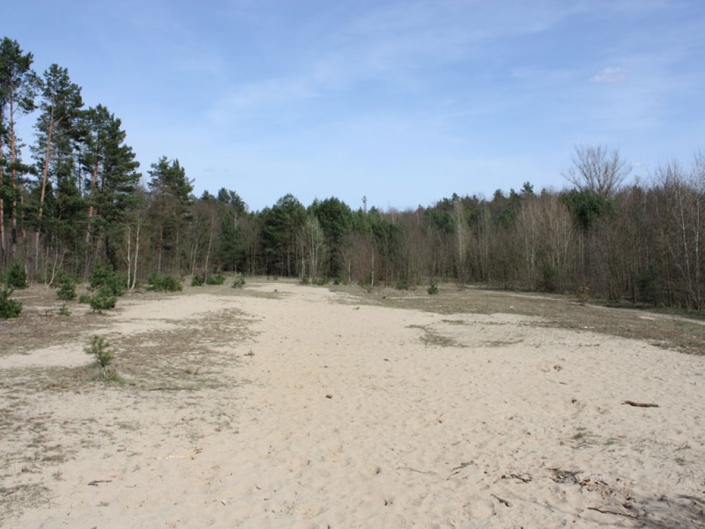 Todesstreifen der DDR-Grenzanlagen als Sandwüste zwischen Kleinmachnow und Berlin-Zehlendorf (1); Aufnahme 2015