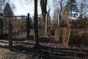 Betonpfosten und Streckmetallgitter als Reste der DDR-Grenzanlagen auf der Halbinsel Meedehorn bei Sacrow; Aufnahme 2015