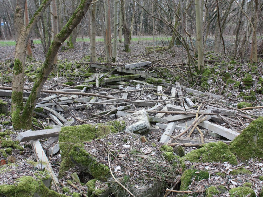 Reste eines Erdbunkers der DDR-Grenztruppen sowie Grenzzaunpfosten im Wald nördlich von Groß Glienicke; Aufnahme 2015