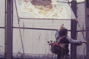 Stephan Elsner ist von Hinten aufgenommen. Er h&auml;lt das Bild, das oben auf dem Zaun aufliegt mit einer Hand und greift mit der anderen danach.