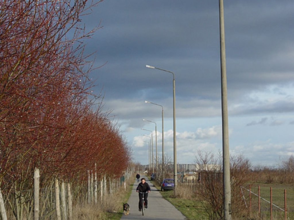 Kolonnenweg mit Lichttrasse im früheren Todesstreifen bei Schönefeld