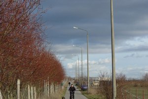 Kolonnenweg mit Lichttrasse im früheren Todesstreifen bei Schönefeld