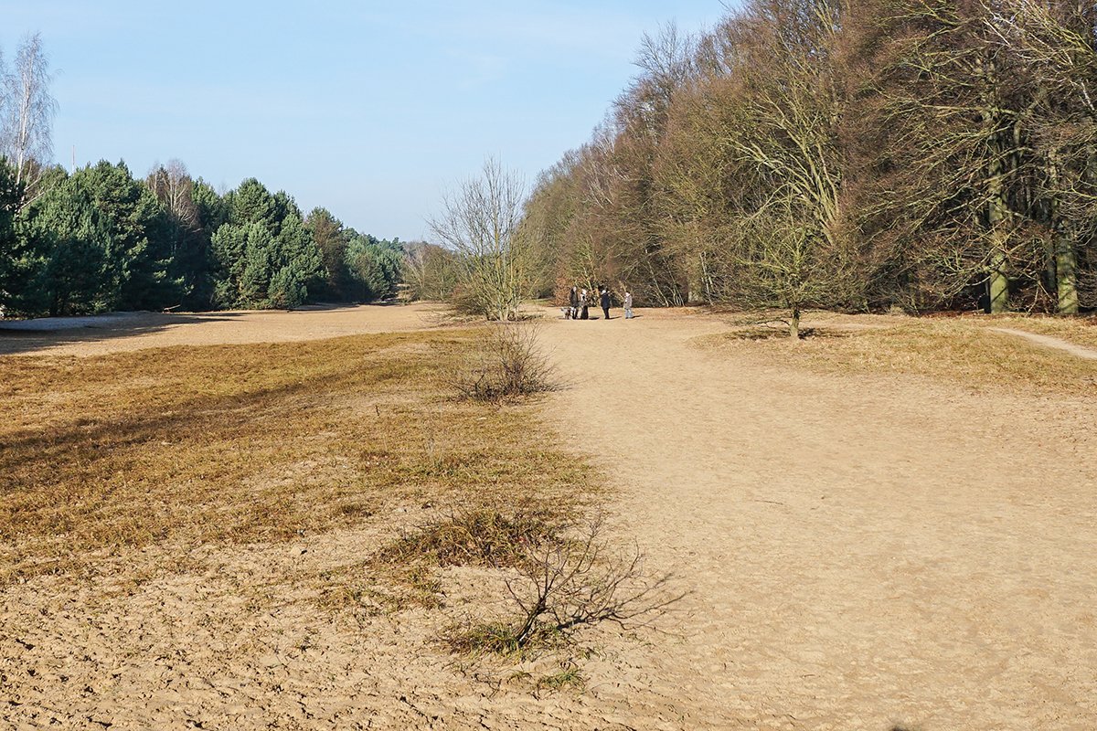 Zwischen Frohnau und der Bieselheide, nördlich von Glienicke-West Zwischen Frohnau und der Bieselheide, nördlich von Glienicke-West