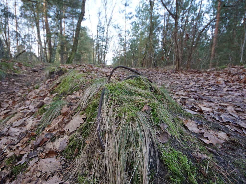 Fundamentrest der vorderen Sperrmauer bei Bergfelde; Aufnahme 2016
