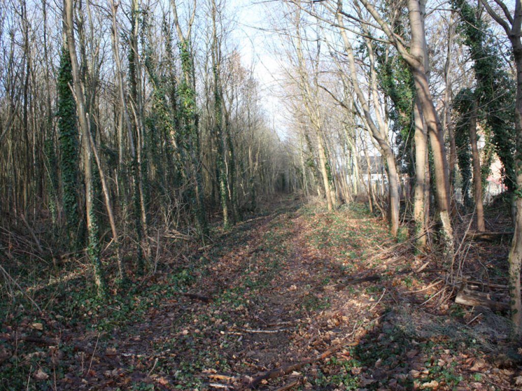 Todesstreifen der DDR-Grenzanlagen nahe der Rohrbachstraße zwischen Birkholz und Berlin-Lichtenrade; Aufnahme 2015