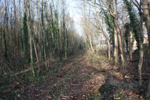 Todesstreifen der DDR-Grenzanlagen nahe der Rohrbachstraße zwischen Birkholz und Berlin-Lichtenrade; Aufnahme 2015