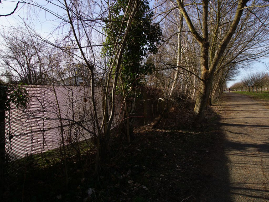 Streckmetallgitterzaun der DDR-Grenzanlagen zwischen Teltow-Seehof und Berlin-Lichterfelde (1); Aufnahme 2015