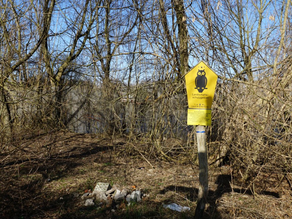 Streckmetallgitterzaun als vorderstes Sperrelement der DDR-Grenzanlagen zwischen Teltow-Seehof und Berlin-Lichterfelde (3); Aufnahme 2015