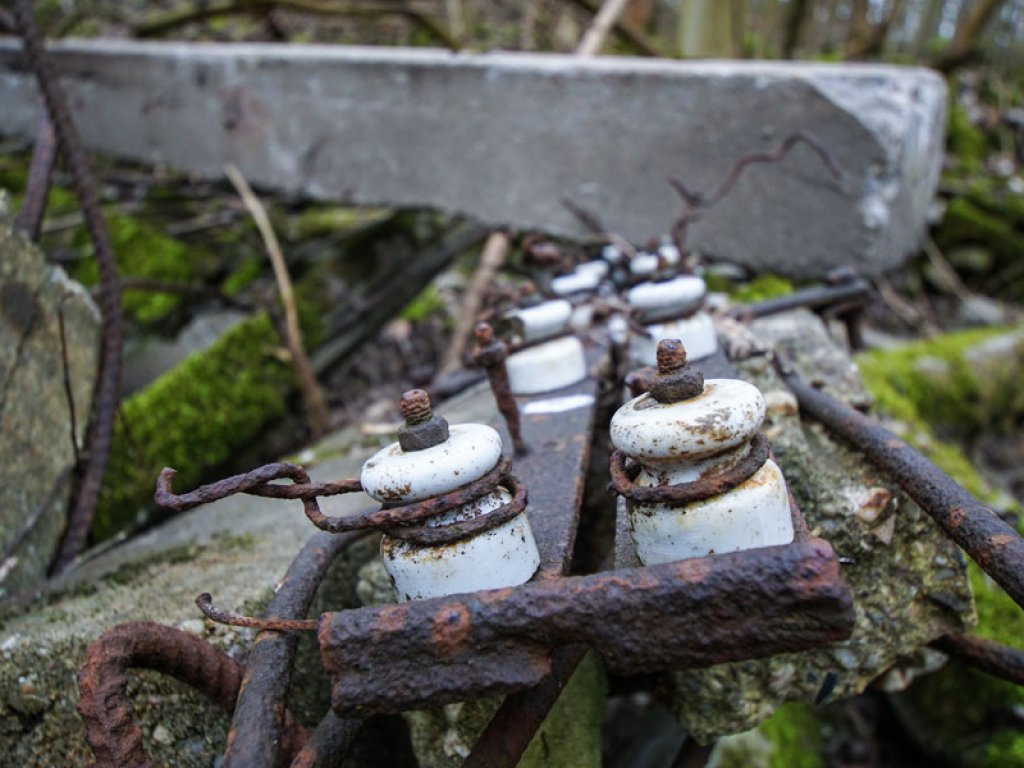Grenzsignalzaunpfosten der DDR-Grenzanlagen im Wald nördlich von Groß Glienicke (2); Aufnahme 2015
