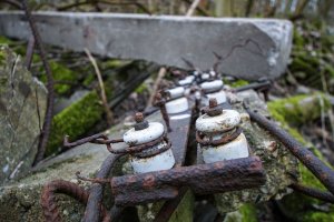 Grenzsignalzaunpfosten der DDR-Grenzanlagen im Wald nördlich von Groß Glienicke (2); Aufnahme 2015