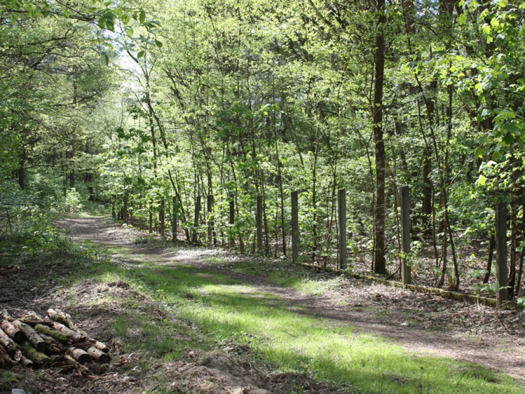 Betonpfosten der Umzäunung der Bootskompanie der DDR-Grenztruppen in Nieder Neuendorf; Aufnahme 2015