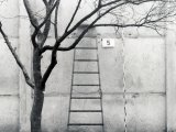 Marienetta Jirkowsky, erschossen an der Berliner Mauer: Nahaufnahme des MfS von der Fluchtleiter an der Hinterlandmauer in der Florastraße in Hohen Neuendorf; Aufnahme 22. November 1980 (Foto: BStU)