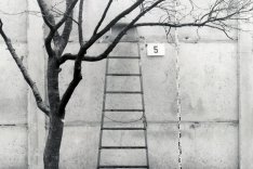 Marienetta Jirkowsky, erschossen an der Berliner Mauer: Nahaufnahme des MfS von der Fluchtleiter an der Hinterlandmauer in der Florastraße in Hohen Neuendorf; Aufnahme 22. November 1980 (Foto: BStU)