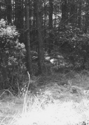 Willi Born, Selbsttötung an der Berliner Mauer: Tod im Wald von Bergfelde, 7. Juli 1970