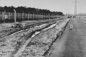 Ulrich Steinhauer, shot dead at the Berlin Wall: MfS crime site photo (III) [Nov. 4, 1980]