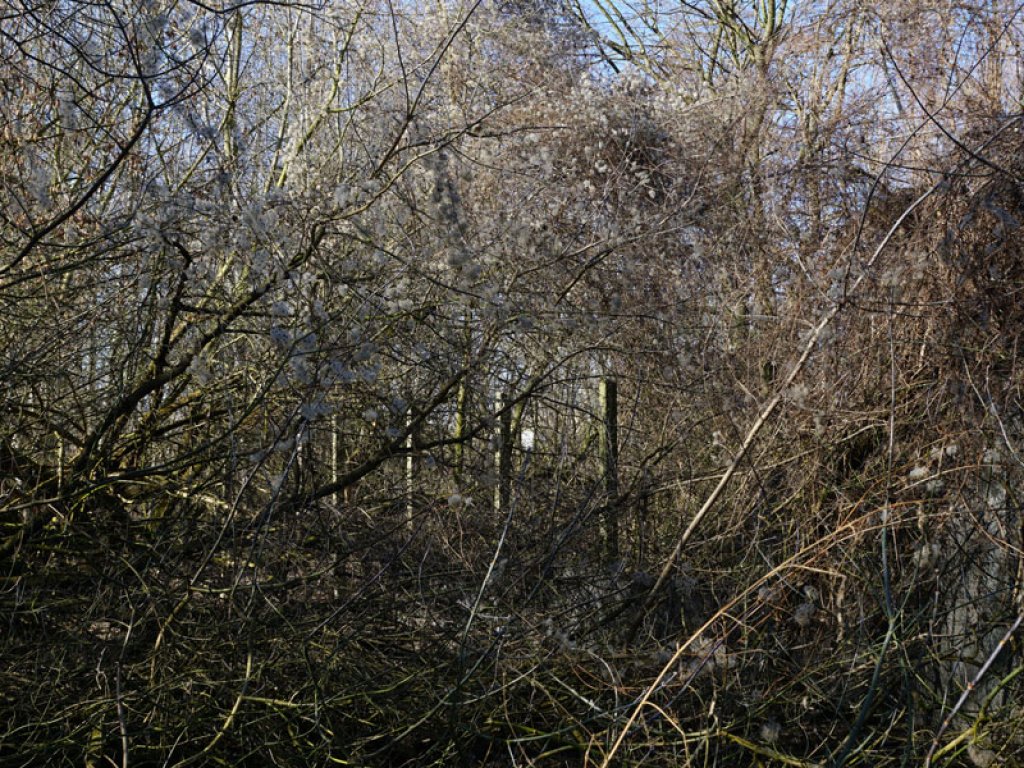 Einkokonierte Betonpfosten des vordersten Sperrzaunes der DDR-Grenzanlagen am Teltowkanal zwischen Teltow-Seehof und Berlin-Lichterfelde (2); Aufnahme 2015  Einkokonierte Betonpfosten des vordersten Sperrzaunes der DDR-Grenzanlagen am Teltowkanal zwischen Teltow-Seehof und Berlin-Lichterfelde (2); Aufnahme 2015