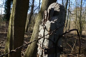 Betonpfosten des Einfahrtstores zum Todesstreifen der DDR-Grenzanlagen in Teltow-Seehof; Aufnahme 2015