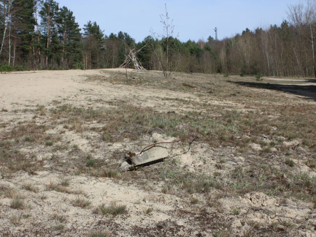 Betonpfahl-Bruchstück mit Eisen im Todesstreifen der DDR-Grenzanlagen zwischen Kleinmachnow und Berlin-Zehlendorf; Aufnahme 2015