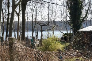 Betonpfostenreihen von Sicherungszäunen der DDR-Grenzanlagen auf der Halbinsel Meedehorn bei Sacrow (1); Aufnahme 2015