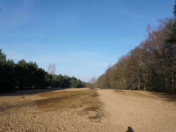 Sandwüste: Todesstreifen nördlich von Glienicke Nordbahn (2); Aufnahme 2015