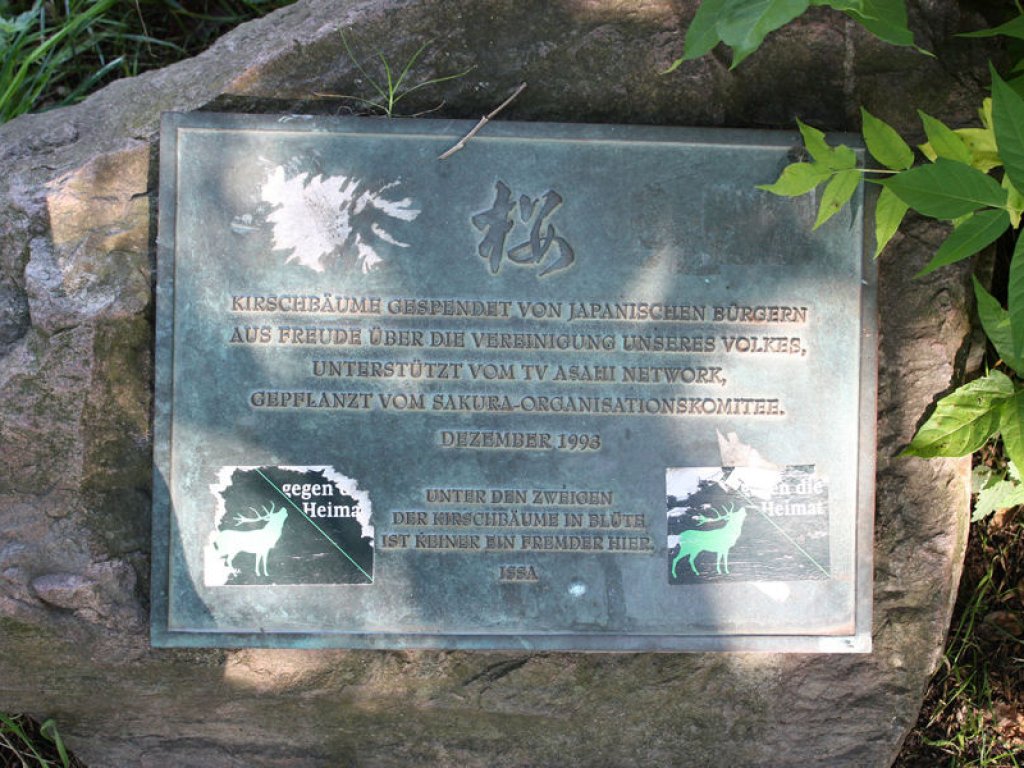 Erinnerungstafel zur Kirschbaum-Spende von japanischen Bürgern nördlich der Bösebrücke; Aufnahme 2016