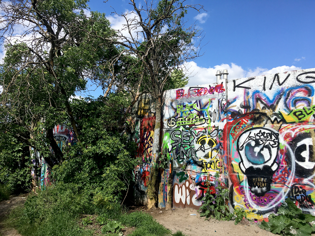Rechts steht ein mit bunten Graffiti bemaltes Stück Hinterlandmauer, das in der linken Bildhälfte von Bäumen und Büschen überwuchert ist.