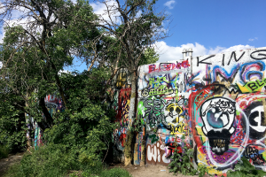 Rechts steht ein mit bunten Graffiti bemaltes Stück Hinterlandmauer, das in der linken Bildhälfte von Bäumen und Büschen überwuchert ist.