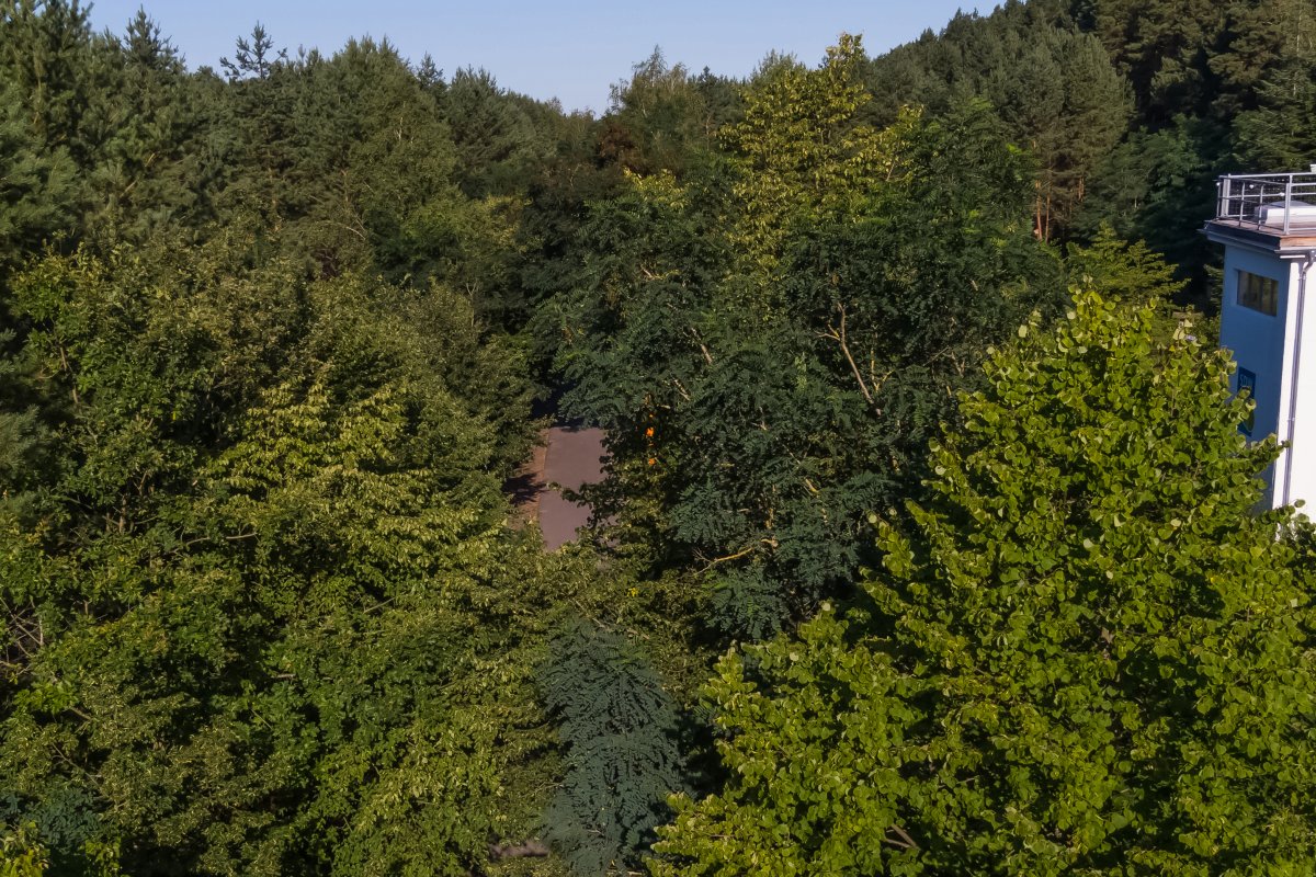 Führungsstelle der DDR-Grenztruppen, Bergfelde (heute: Sitz der Waldjugend)