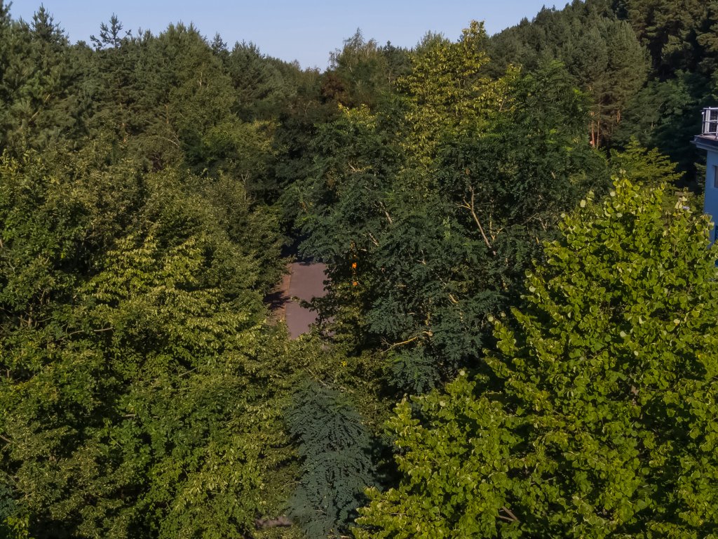 Führungsstelle der DDR-Grenztruppen, Bergfelde (heute: Sitz der Waldjugend)