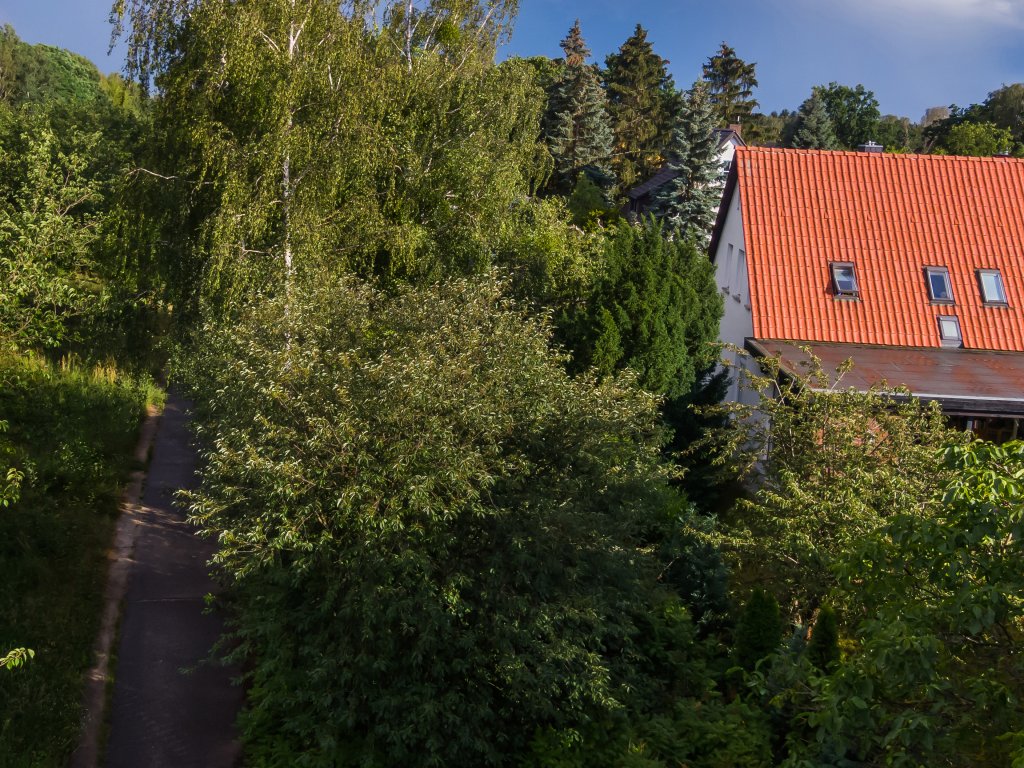 Zwischen Teltow-Seehof und Lichterfelde-Süd