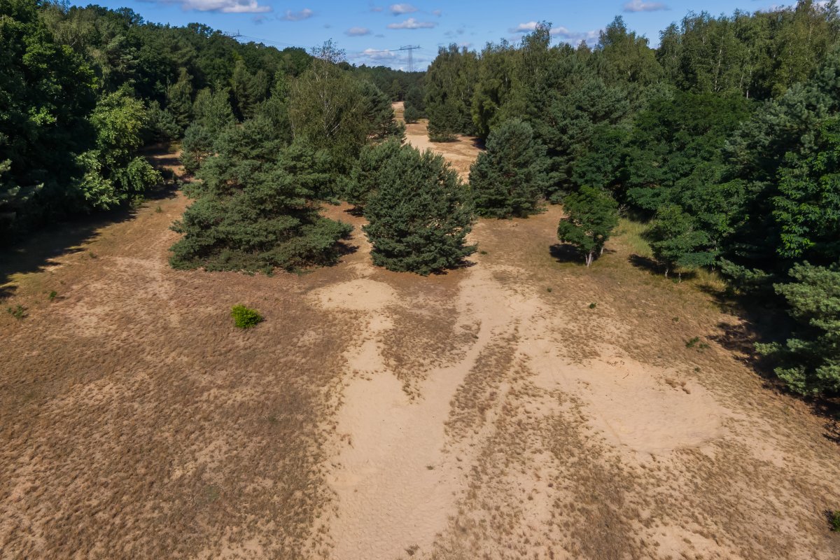 Zwischen Spandau-Bürgerablage und Nieder Neuendorf, nahe der Havel Zwischen Spandau-Hakenfelde (Bürgerablage) und Nieder Neuendorf, nahe der Havel