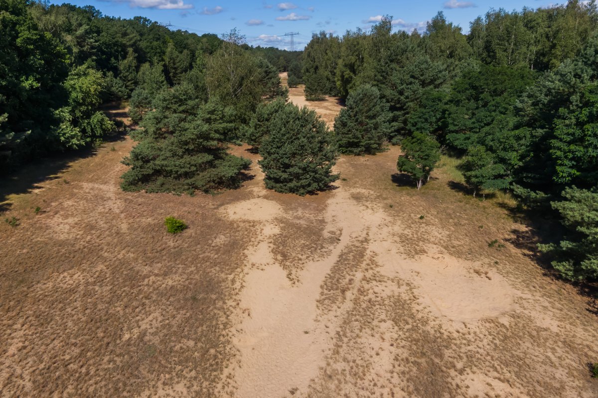 Zwischen Spandau-Hakenfelde (Bürgerablage) und Nieder Neuendorf, nahe der Havel