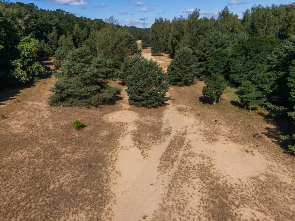 Zwischen Spandau-Hakenfelde (Bürgerablage) und Nieder Neuendorf, nahe der Havel