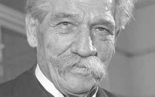 Albert Schweitzer, 11. November 1955