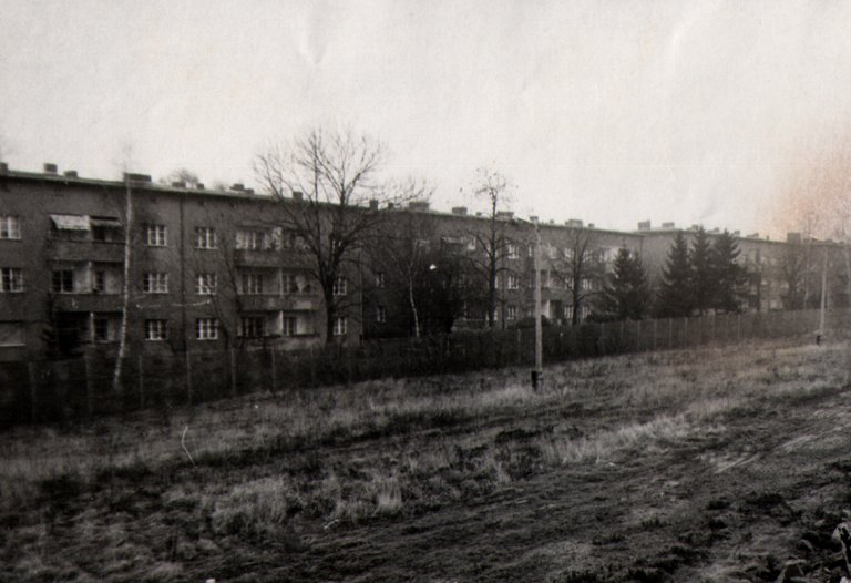 Zwischen Teltow-Seehof und Lichterfelde-Süd, Ostpreußendamm / Philipp-Müller-Allee (heute Lichterfelder Allee, Aufnahme 1980er Jahre