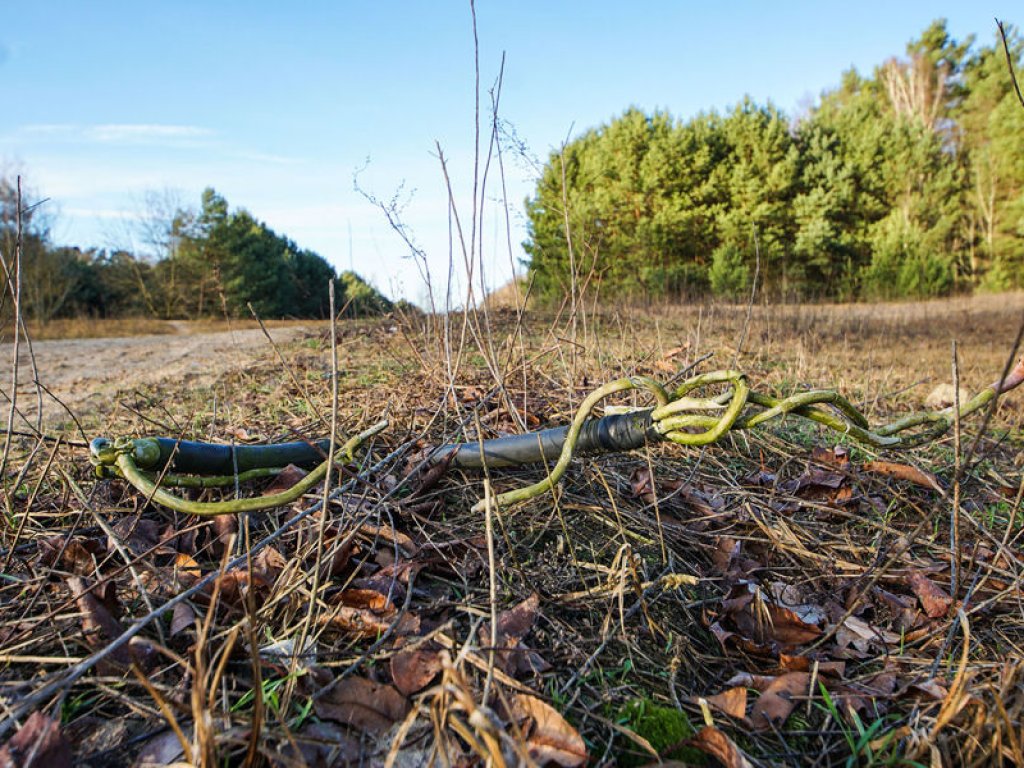 Stromkabelreste im Todesstreifen nördlich von Glienicke Nordbahn (2); Aufnahme 2015