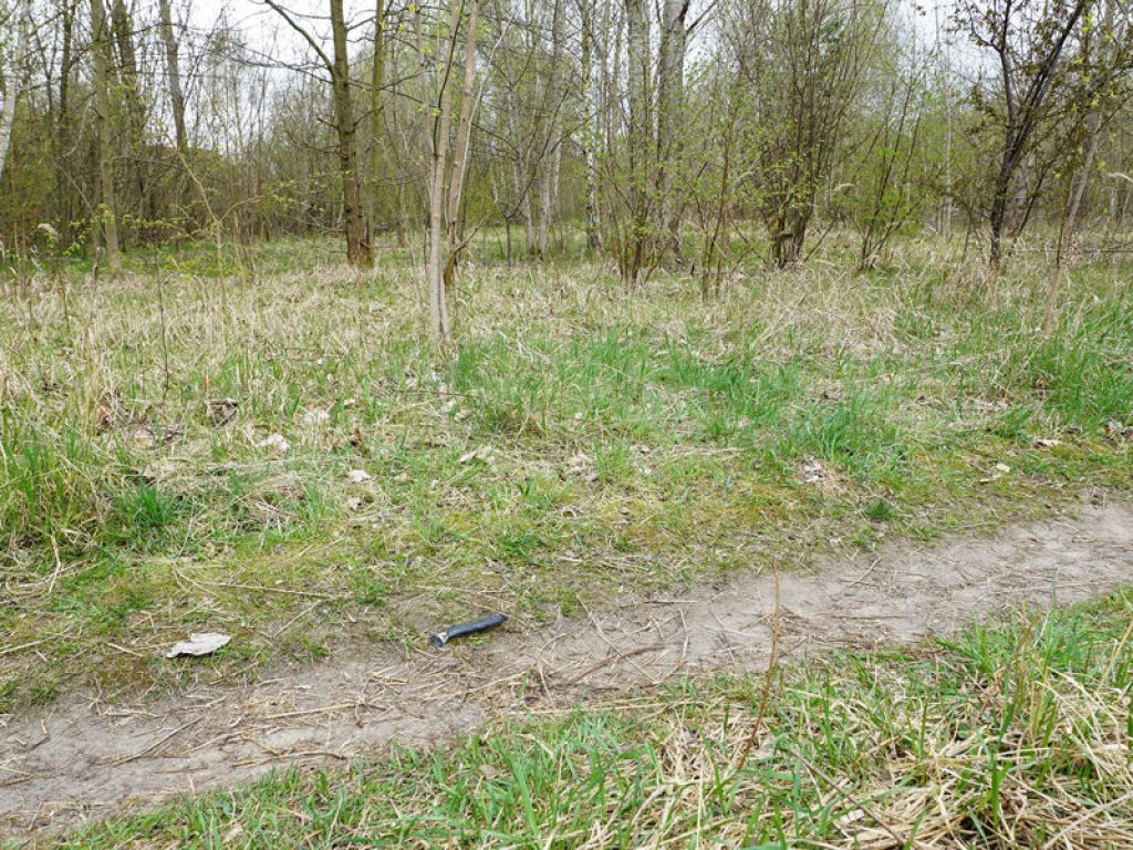 Stromkabelrest im Todesstreifen nördlich des Friedhofs Pankow VII in Wilhelmsruh; Aufnahme 2015