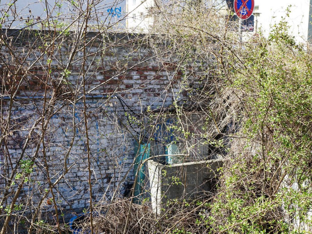 Elektroschaltkasten an der Schwartzkopff-/Ecke Caroline-Michaelis-Straße; Aufnahme 2015