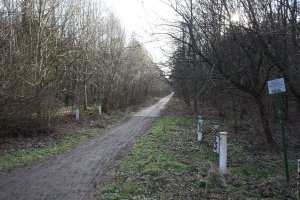 Todesstreifen der DDR-Grenzanlagen als Erholungsgebiet zwischen Birkholz und Berlin-Lichtenrade; Aufnahme 2015