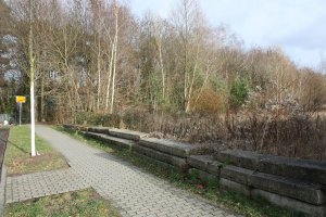 Betonplatten der 3. Generation der Mauer als Sperrmaterial auf dem Kolonnenweg der DDR-Grenztruppen zwischen Mahlow-Waldblick und Berlin-Lichtenrade (1); Aufnahme 2015
