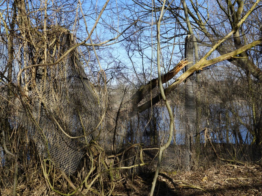 Streckmetallgitterzaun als vorderstes Sperrelement der DDR-Grenzanlagen am Teltowkanal zwischen Teltow-Seehof und Berlin-Lichterfelde (4); Aufnahme 2015