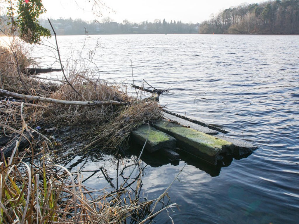 Betonpfosten der DDR-Grenzanlagen am Ufer des Griebnitzsees in Potsdam-Babelsberg; Aufnahme 2015