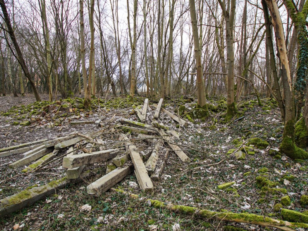Grenzzaunpfosten der DDR-Grenzanlagen im Wald nördlich von Groß Glienicke (1); Aufnahme 2015