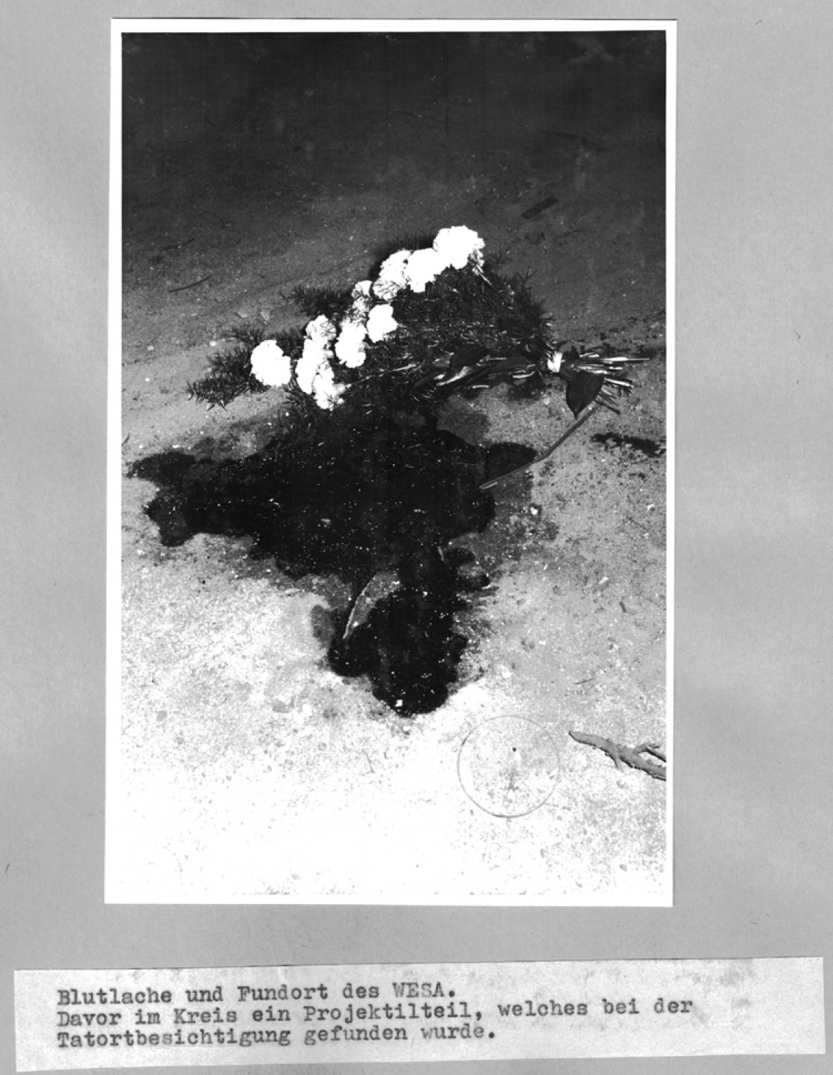 Hans-Dieter Wesa, shot dead at the Berlin Wall: West Berlin police crime site photo [Aug. 23, 1962]