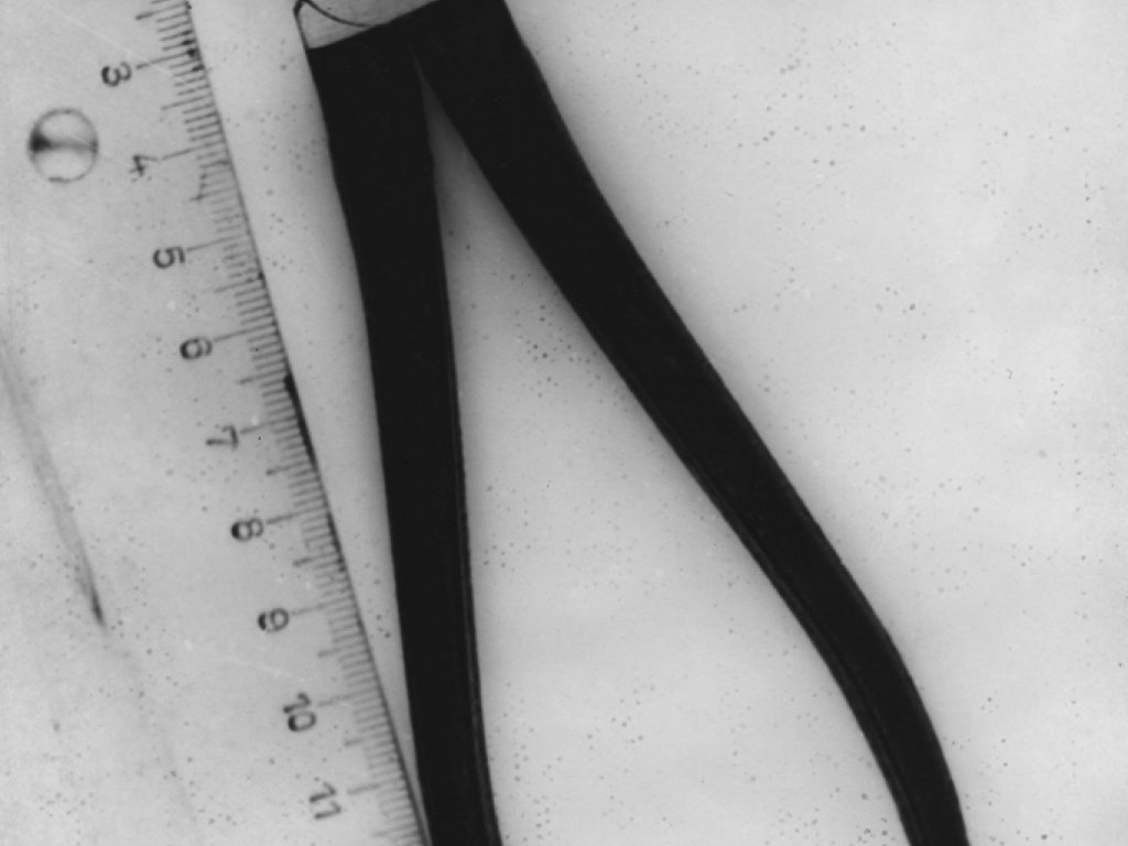 Karl-Heinz Kube, shot dead at the Berlin Wall: Wire cutter that he brought with him on his escape [Dec. 16, 1966]