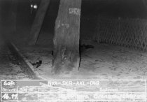 Horst Körner, shot dead at the Berlin Wall: Death at the Babelsberg Palace Park (photo: East German border troops)