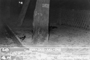 Horst Körner, shot dead at the Berlin Wall: Death at the Babelsberg Palace Park (photo: East German border troops)