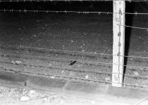 Mit einer Drahtschere den Grenzsignalzaun durchschnitten: Gelungene Flucht mit einer Leiter von Berlin-Mitte nach Berlin-Wedding, 19. November 1986